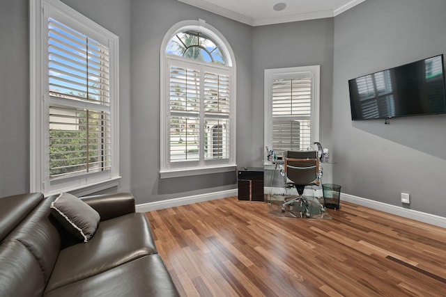 office area featuring wood-type flooring and crown molding