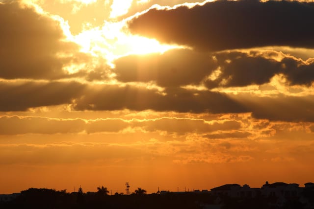 view of nature at dusk