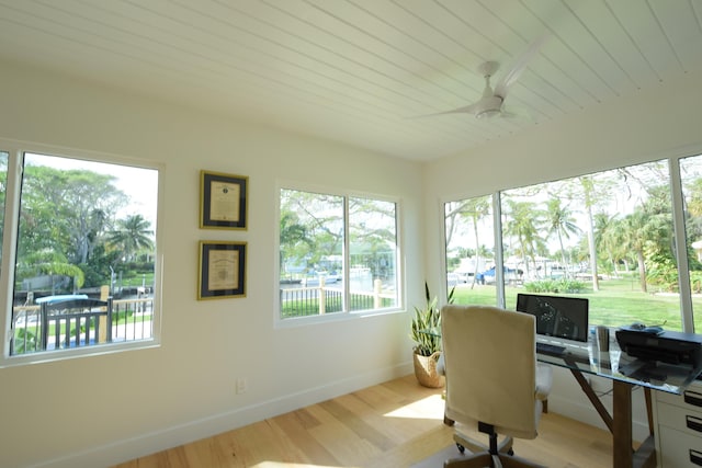 office space with ceiling fan and light hardwood / wood-style floors