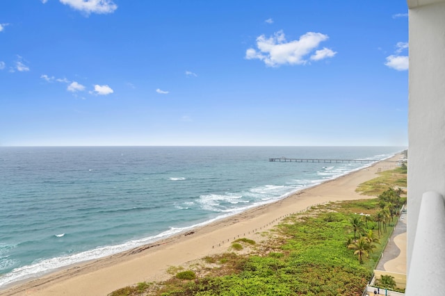 view of water feature with a beach view