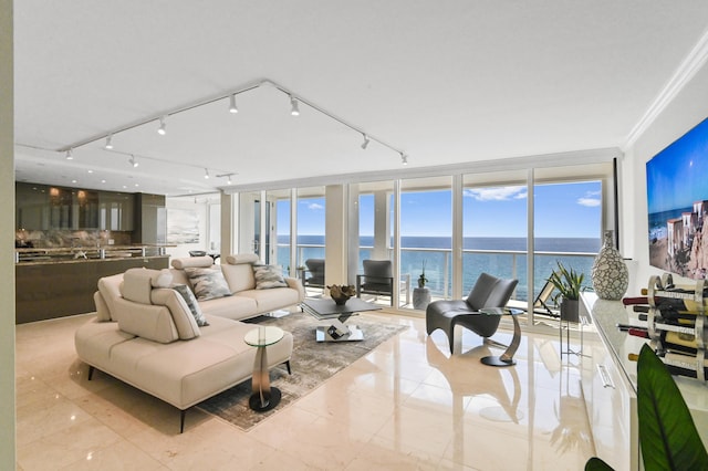 living room featuring floor to ceiling windows, a wealth of natural light, rail lighting, and ornamental molding