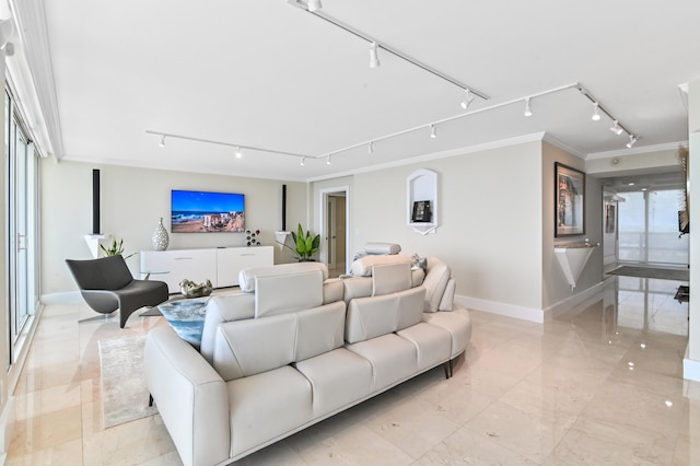 living room with ornamental molding, track lighting, and a healthy amount of sunlight