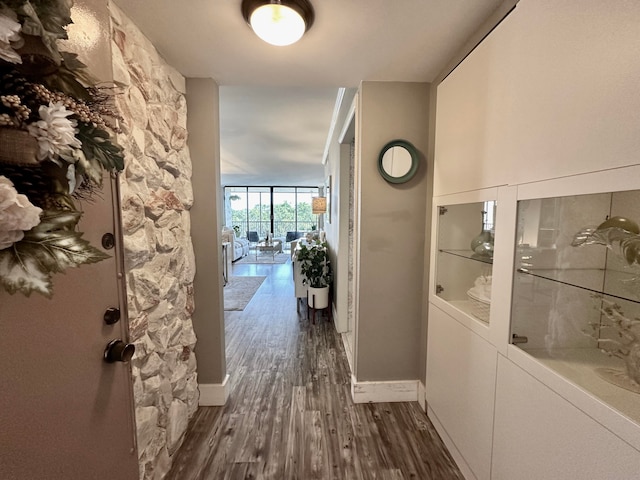 hallway with dark wood-type flooring