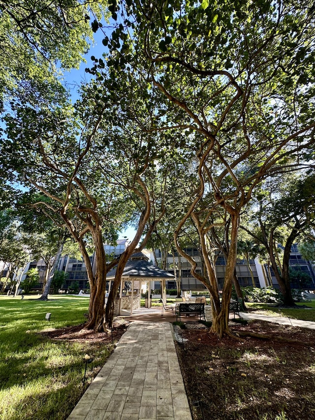 view of community with a yard