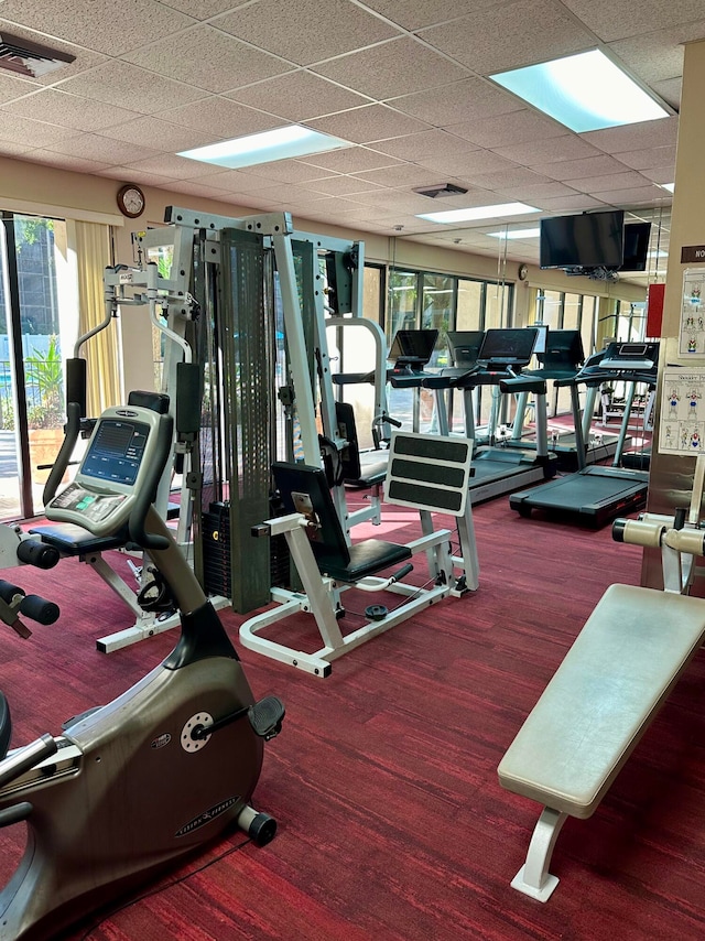 exercise room featuring carpet and a drop ceiling