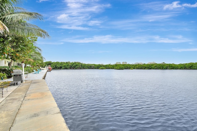 view of water feature