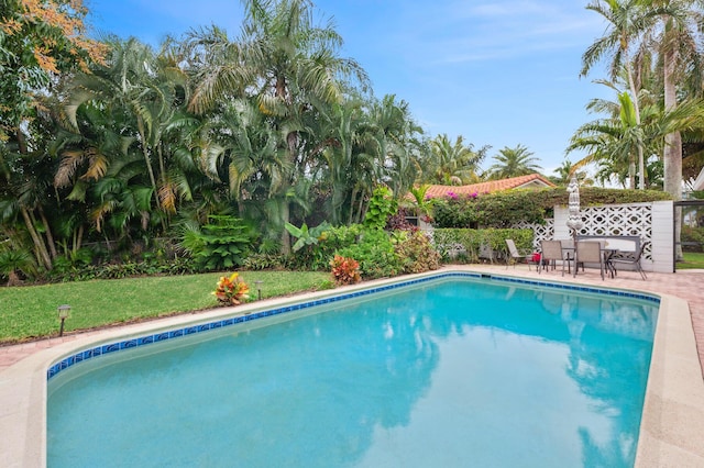 view of swimming pool featuring a lawn and a patio