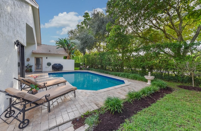 view of swimming pool with area for grilling and a patio