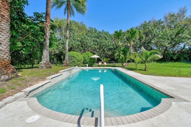 view of pool with a lawn and a patio