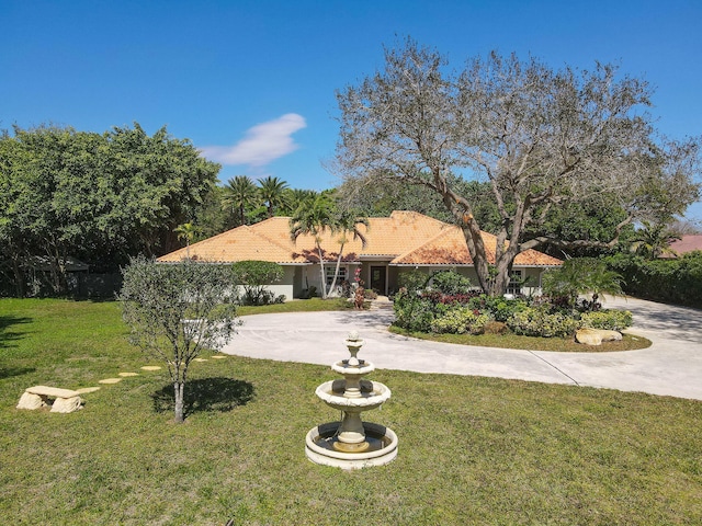 view of front of house with a front yard