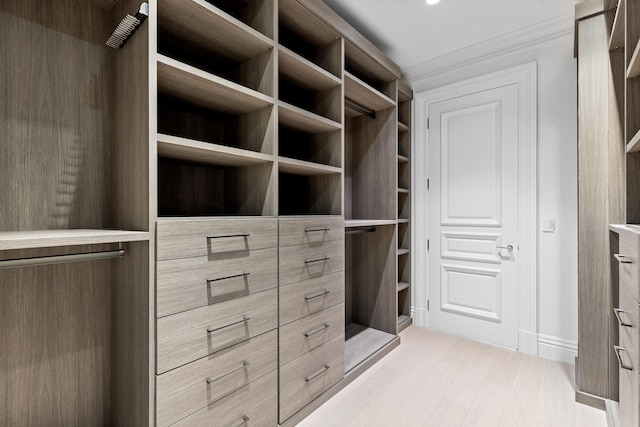 walk in closet featuring light hardwood / wood-style floors