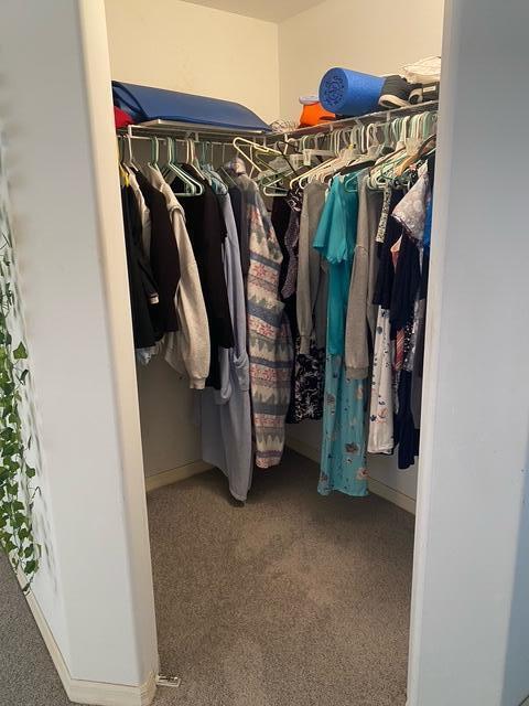 walk in closet with carpet