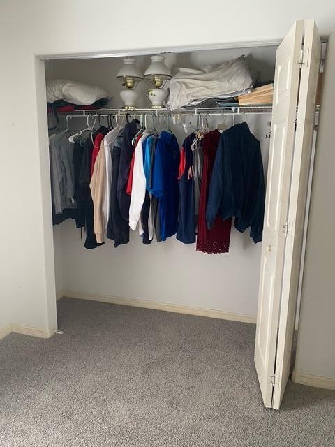 view of closet