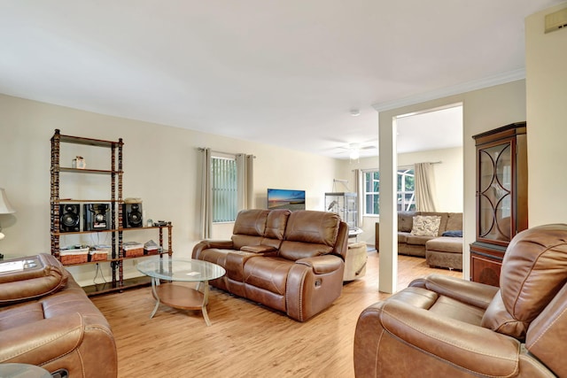 living room featuring ceiling fan, crown molding, and light wood-type flooring