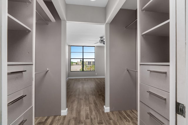 walk in closet with hardwood / wood-style flooring and ceiling fan