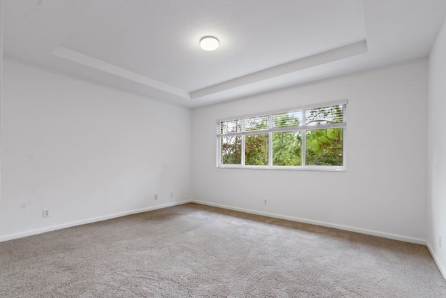 carpeted empty room featuring a tray ceiling