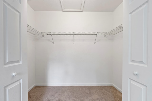 spacious closet featuring carpet floors