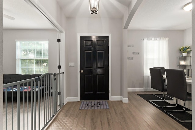 foyer featuring wood-type flooring