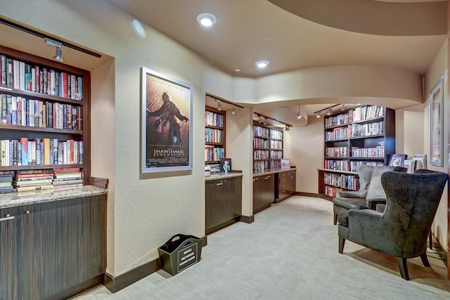 office space featuring built in features, light colored carpet, and track lighting