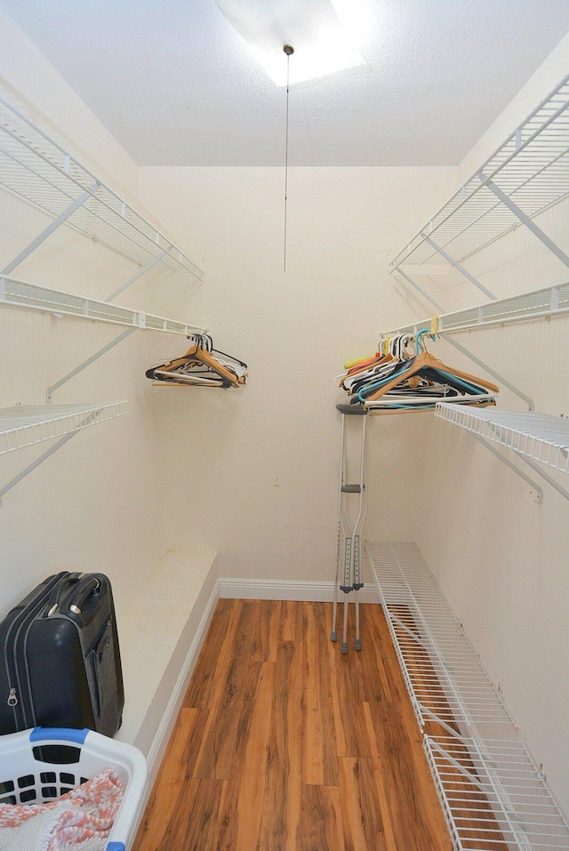 spacious closet with hardwood / wood-style floors