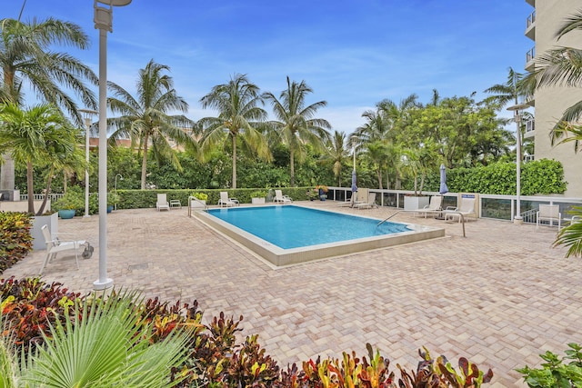 view of pool featuring a patio