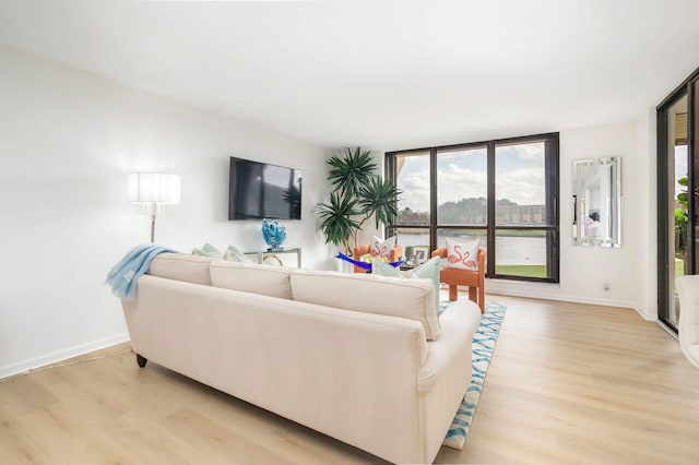 living room with plenty of natural light and light wood-type flooring