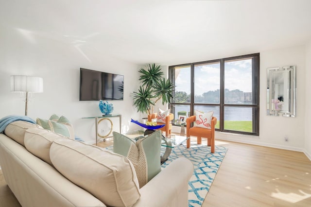 living room with light wood-type flooring