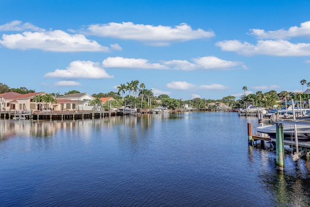 dock area with a water view