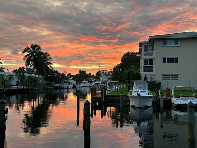 water view featuring a boat dock