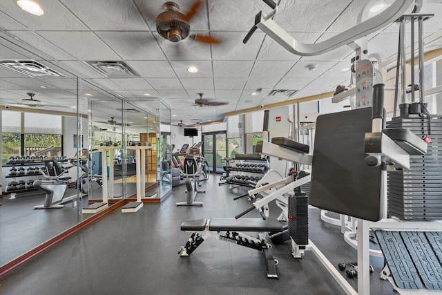 workout area with a drop ceiling, floor to ceiling windows, and ceiling fan