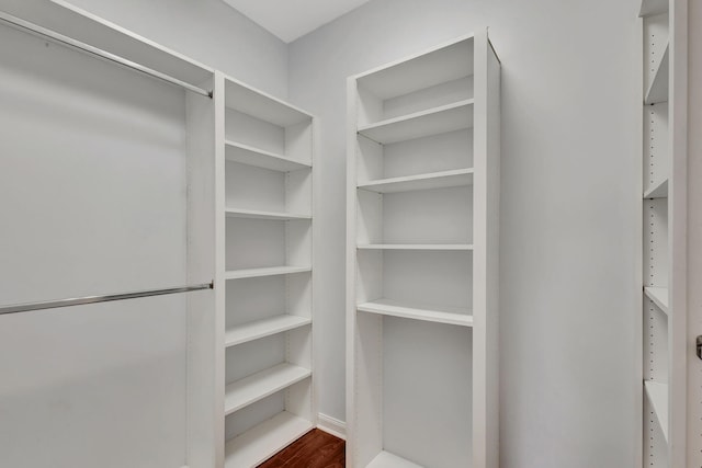 spacious closet featuring wood-type flooring