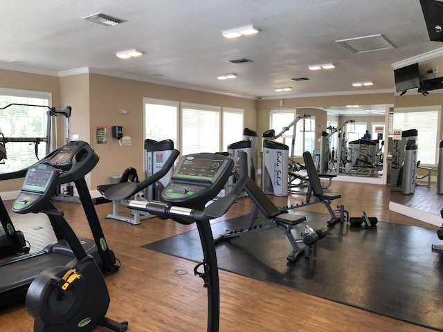 exercise room featuring plenty of natural light, wood-type flooring, and ornamental molding