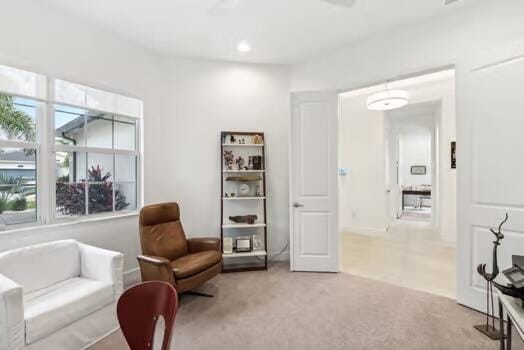 sitting room featuring plenty of natural light and light colored carpet