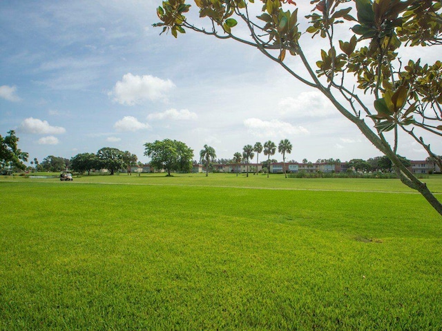 view of property's community featuring a yard