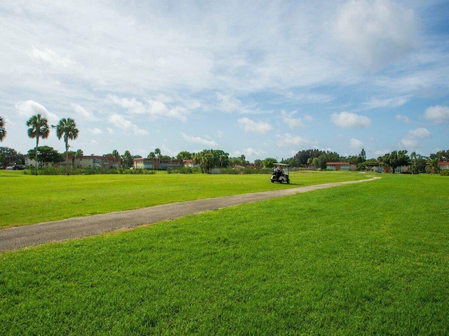 view of community with a lawn