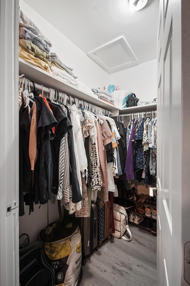 spacious closet featuring light hardwood / wood-style floors