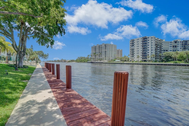 dock area with a water view