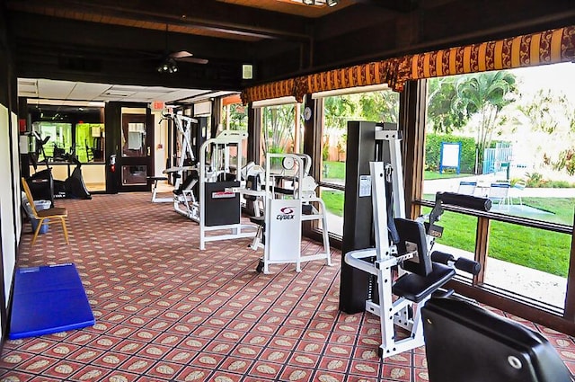 gym with ceiling fan and carpet floors