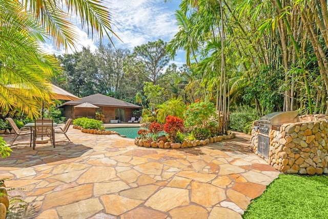 5405 Duckweed Rd, Wellington, FL 33449 - view of patio featuring grilling area and an outdoor kitchen