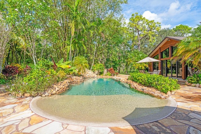 5405 Duckweed Rd, Wellington, FL 33449 - view of swimming pool with a patio area