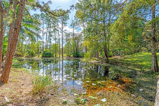 5405 Duckweed Rd, Wellington, FL 33449 - view of water feature