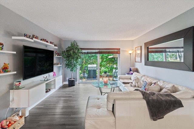 living room featuring hardwood / wood-style floors, a textured ceiling, and a healthy amount of sunlight