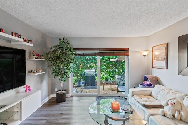 living room with hardwood / wood-style flooring and a textured ceiling