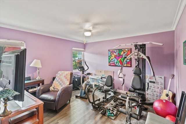 exercise room with ceiling fan, hardwood / wood-style floors, and ornamental molding