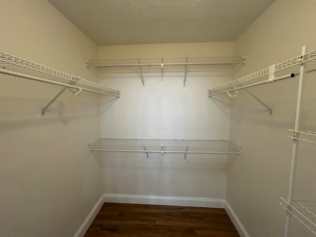 spacious closet featuring dark hardwood / wood-style flooring