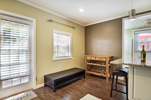 sitting room featuring ceiling fan, plenty of natural light, dark wood-type flooring, and ornamental molding