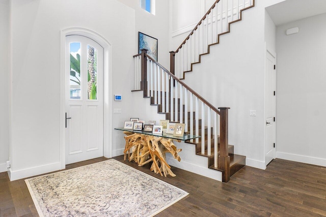 entrance foyer featuring a high ceiling and dark wood-type flooring