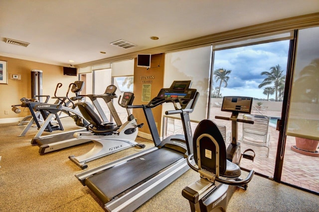 workout area with crown molding