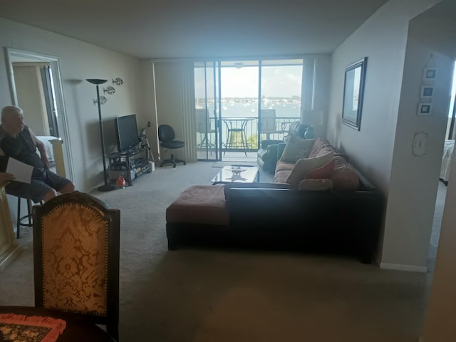 view of carpeted living room