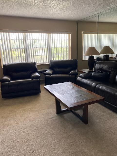 carpeted living room featuring a textured ceiling and a healthy amount of sunlight